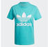 Adidas Adicolor Classics Trefoil T-Shirt Women