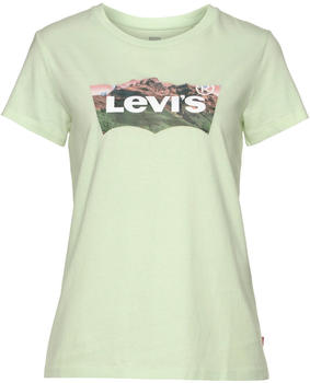 Levi's The Perfect Short Sleeve T-shirt green (17369-1927)