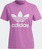 Adidas Adicolor Classics Trefoil T-Shirt Women