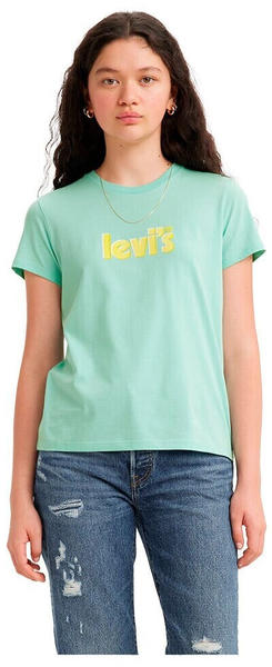 Levi's The Perfect Short Sleeve T-shirt green (17369-2051)