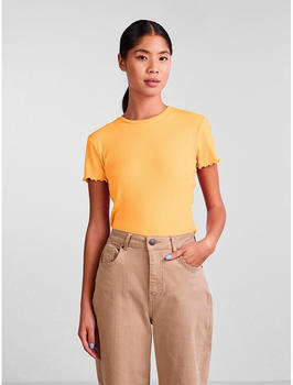 Pieces Nicca Short Sleeve O Neck T-Shirt (17120085) orange