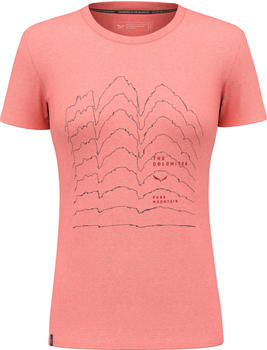Salewa Pure Skyline Dry'ton T-Shirt Damen pink lantana/pink melange