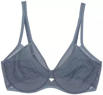 Triumph Triumph Signature Sheer Minimizer BH (10215906) cloudy blue