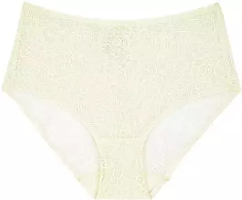 Triumph Fit Smart Maxi Briefs (10202477) chrysantheme