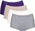 Sloggi 4-Pack Basic+ Maxi (10103326) multiple colours 18