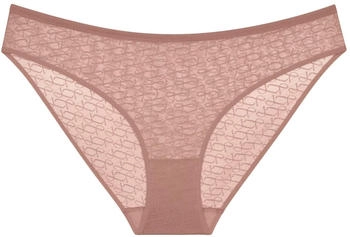 Triumph Tai Triumph Signature Sheer (10222554) brown