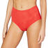 Triumph Fit Smart Maxi Briefs (10202477)