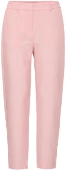 B.Young Hose 'Danta' rosa