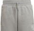 Adidas Adicolor Shorts (HD2062) medium heather grey