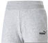 Puma Essentials Shorts (58682404) grey