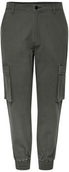 Only Betsy Cargo Pants brown