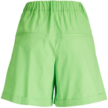 JJXX JXVIGGA RLX HW SHORTS PNT (12228693-4145544) lime punch