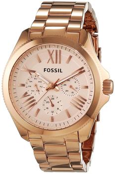 Fossil Cecile (AM4511)