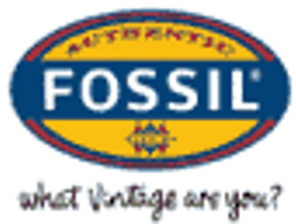 Armband & Bewertungen Fossil Riley ES3204