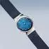 Bering Time Bering Armbanduhr 10126-307