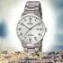 Festina Classic Titan F20435/1