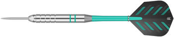 Target Rob Cross Silver Voltage Brass Dart