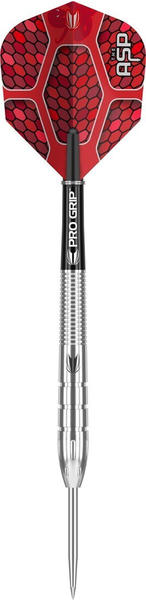 Target Sports Nathan Aspinall 90% Tungsten Steel Tip 24g