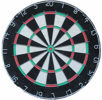 Winmau DSX Dartboard