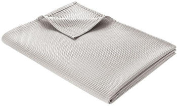 Wohnwohl Waffel Decke Baumwolle 220 x 240 cm Hellgrau Wohnwohl Waffel Decke Baumwolle 220 x 240 cm Hellgrau