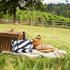 Relaxdays Picknickdecke Zickzack-Muster 200x300 cm