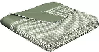 Biederlack Wolle Wohndecke Stripe gruen 150x200 cm Biederlack Wolle Wohndecke Stripe gruen 150x200 cm