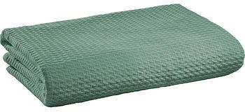 Erwin Müller Sommer-Baumwoll-Decke Siena 220x240 cm jade