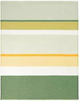 Biederlack Ever Stripe Wohndecke mit Fransen, mehrfarbig, 130x170cm