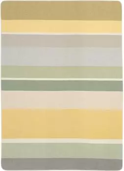Biederlack Stripe Delight Wohndecke mehrfarbig 150x200cm (818928)