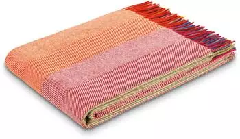 Biederlack Colour Lines Plaid mit Fransen, bunt, 130x170cm