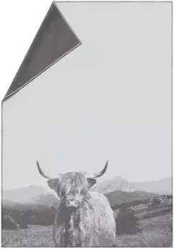 David Fussenegger Wohndecke Sylt 'Hochlandrind' 140 x 200 cm Rohwei&szlig;
