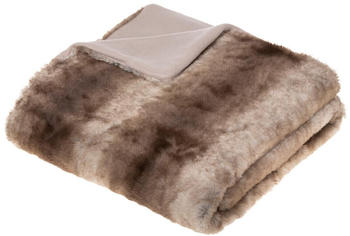 Atmosphera Blanket Grizzli 120x160cm