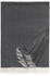 Eagle Products Boston 130x200cm