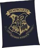 Harry Potter Wohndecke "Harry Potter" mit tollem Harry Potter Motiv, Kuscheldecke