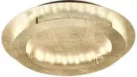 Paul Neuhaus Deckenleuchte "NEVIS" LED-Board 1 Stk. Warmwei&szlig; LED