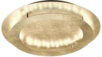 Paul Neuhaus Nevis LED-Deckenleuchte 24W gold