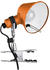 Artemide Tolomeo Micro Pinza Klemmleuchte orange
