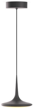GRAU Falling Leaf Pendelleuchte LED schwarz - 200 cm