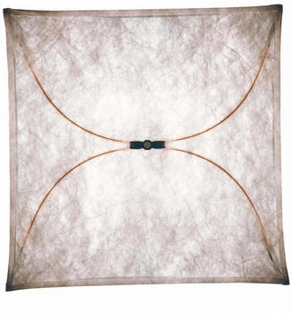 FLOS Ariette 2 Wand- / Deckenleuchte 100x100x20 cm