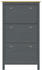 vidaXL Shoe Cabinet Hill Range Grey