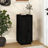 vidaXL Schuhschrank Schwarz 35x35x80 cm (813539)