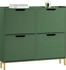 SoBuy Schuhkipper dunkelgrün 100x90x19cm FSR100-SY