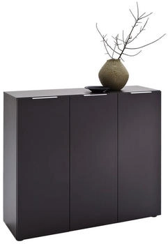 CarryHome Schuhschrank Anthrazit 8 Fächer 120x101x39 cm