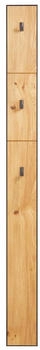 Linea Natura Garderobenpaneel Anthrazit Eiche Metall Wildeiche massiv 15x163.5x3.7 cm