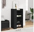 vidaXL Schuhregal Schwarz 80x38x78 cm Holzwerkstoff Schwarz