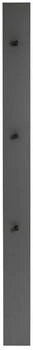 Dieter Knoll Garderobenpaneel Anthrazit Grau 14x170x5 cm