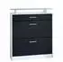 Vladon Loret Schuhschrank Schuhkipper 2 Klappen, 1 Schublade, 89x104x23cm (50000772)