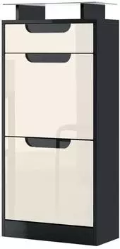 Vladon Fiesta V2 Schuhschrank 2 Klappen, Schublade, Glasablage, Creme/Schwarz Hochglanz (46x104x23cm)