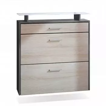 Vladon Malea H&auml;nge-Schuhschrank 2 Klappen, Schublade, LED-Beleuchtung, anthrazit/Eiche s&auml;gerau (50026203)