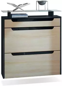 Vladon Annie Schuhschrank mit 2 Klappen, Schublade, Glasablage, schwarz matt/Eiche s&auml;gerau (50001839)